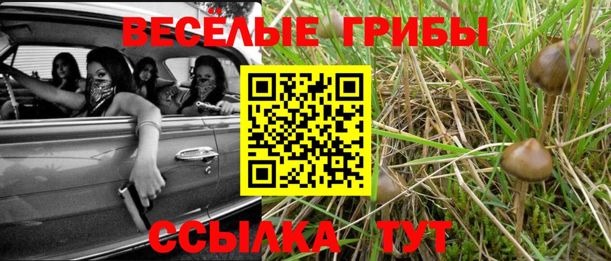 Ханты-Мансийск  Псилоцибиновые грибы Psilocybe  Вход с VPN 