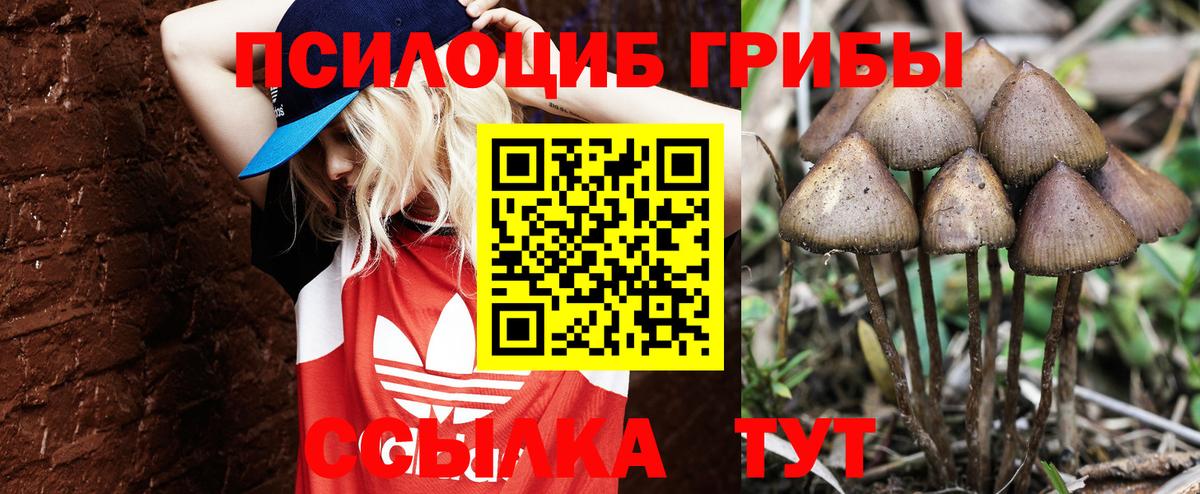 Галлюциногенные грибы Psilocybine cubensis Ханты-Мансийск